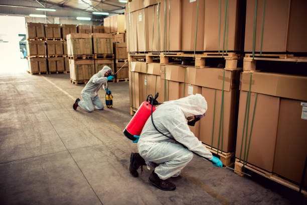 Best Pest Control Near Me  in Westmoreland, TN