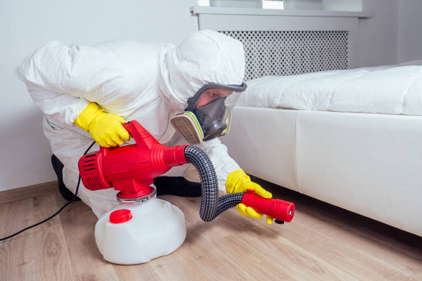 Reliable Westmoreland, TN Pest Control Solutions