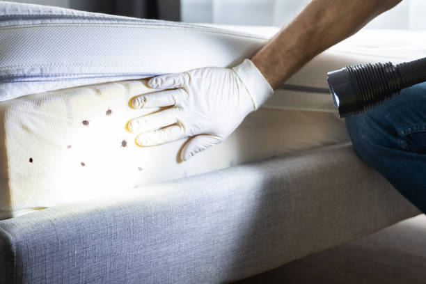Best Residential Pest Control  in Westmoreland, TN