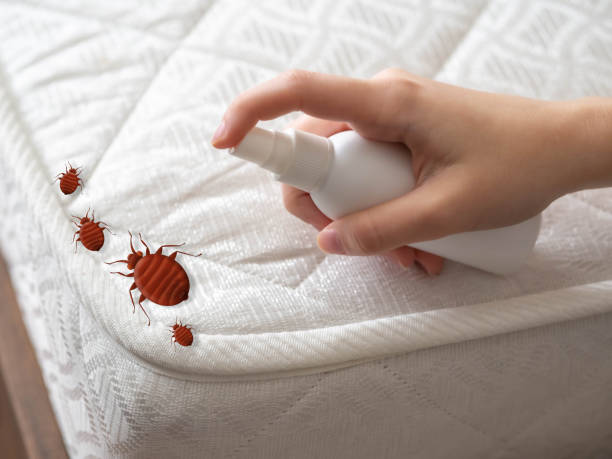 Best Pest Prevention Services  in Westmoreland, TN