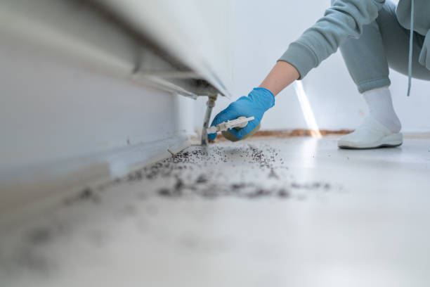 Best Mosquito Control Services  in Westmoreland, TN